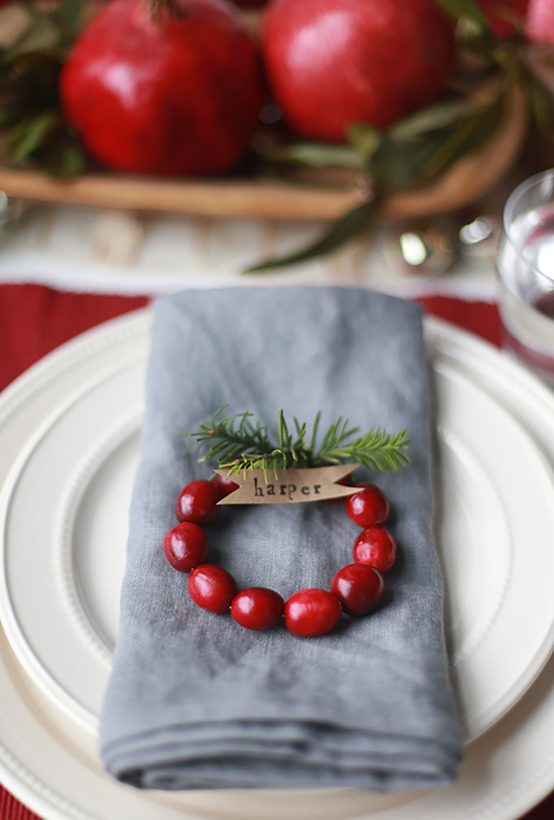 tableart_krikoi-petsetas-apo-cranberries_1