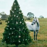 tableart_country-christmas