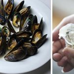 tableart_seafood-etiquette