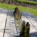 tableart_table_wine_cooler